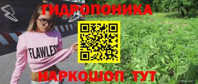 шишки Сланцы