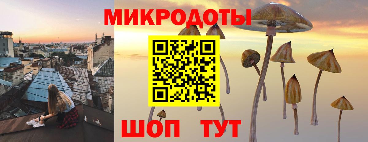 Орёл  Псилоцибиновые грибы Psilocybe  Вход с VPN  Галлюциногенные грибы ЛСД 